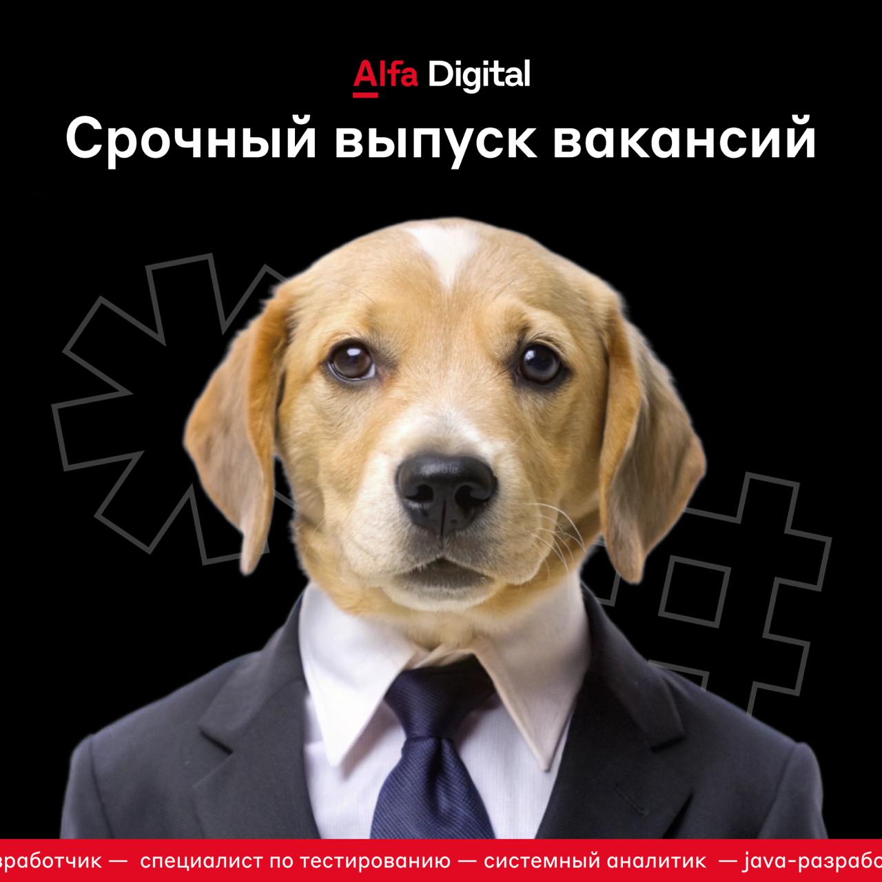 Срочный выпуск новостей вакансий
Читайте подробности в карточках и отправляйте отклики по ссылкам:
🗞 Pega-разработчик — откликнуться
🗞 Специалист по тестированию — откликнуться
🗞 Системный аналитик — ... | Сетка — социальная сеть от hh.ru