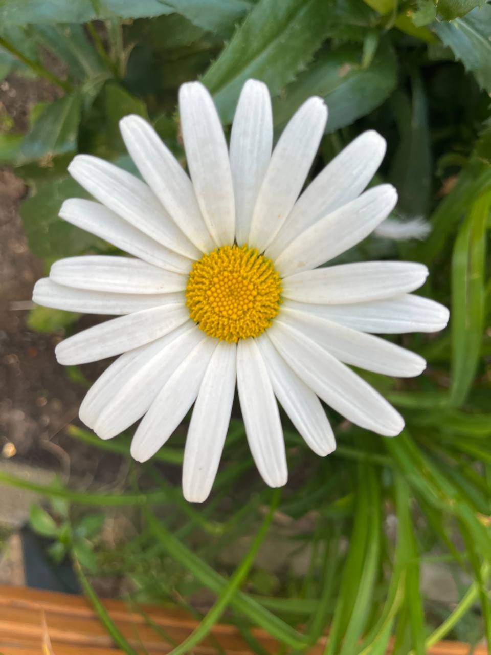 📚 🍁 помните страшилки из детства?
про людей, которые куда-то по очереди уходят и исчезают...
Спит семья ночью. Вдруг слышат — на кухне что-то капает. Папа пошел на кухню и не вернулся | Сетка — социальная сеть от hh.ru