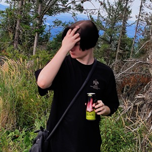 Артур Перегудов