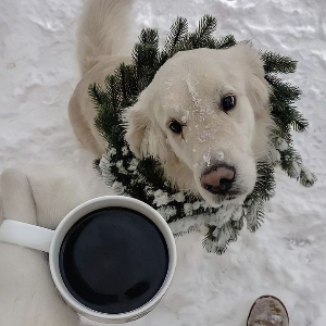 Варвара Боронникова