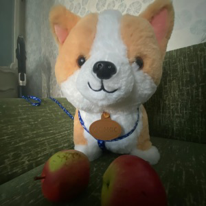 Golg Dog