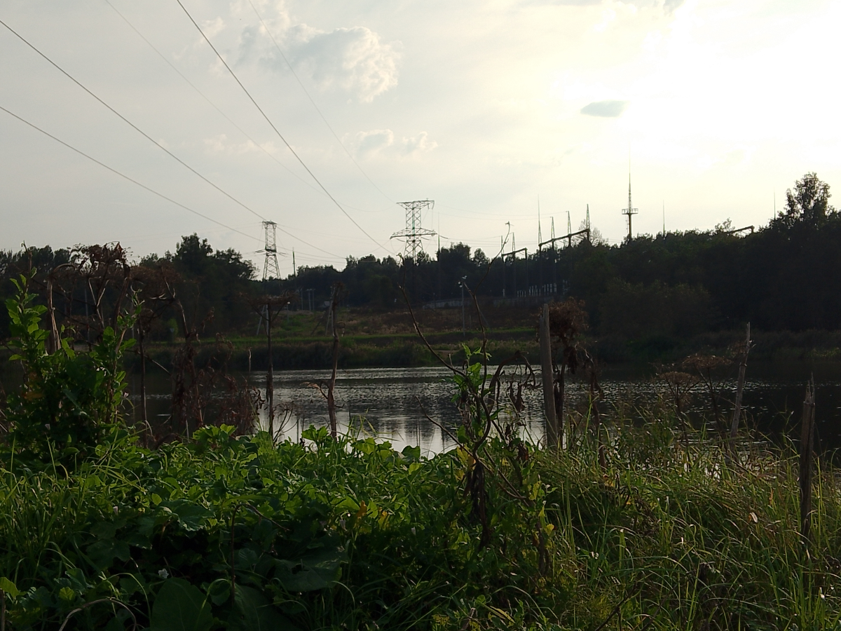 вот и все, готовая работа 
#пленер #художники #художник #учусь #иллюстрации | Сетка — социальная сеть от hh.ru