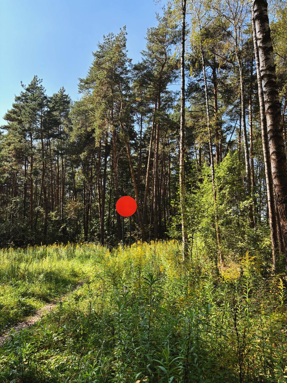Парк с водопадом и артом авангардистов
Сегодня съездили на прогулку в парк Малевича. Приятное место, особенно понравились объекты Леонида Тишкова «Частная Луна» и «Частное солнце» | Сетка — социальная сеть от hh.ru