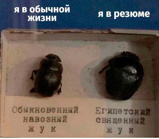 Первый пост. Пускай будет таким : | Сетка — социальная сеть от hh.ru