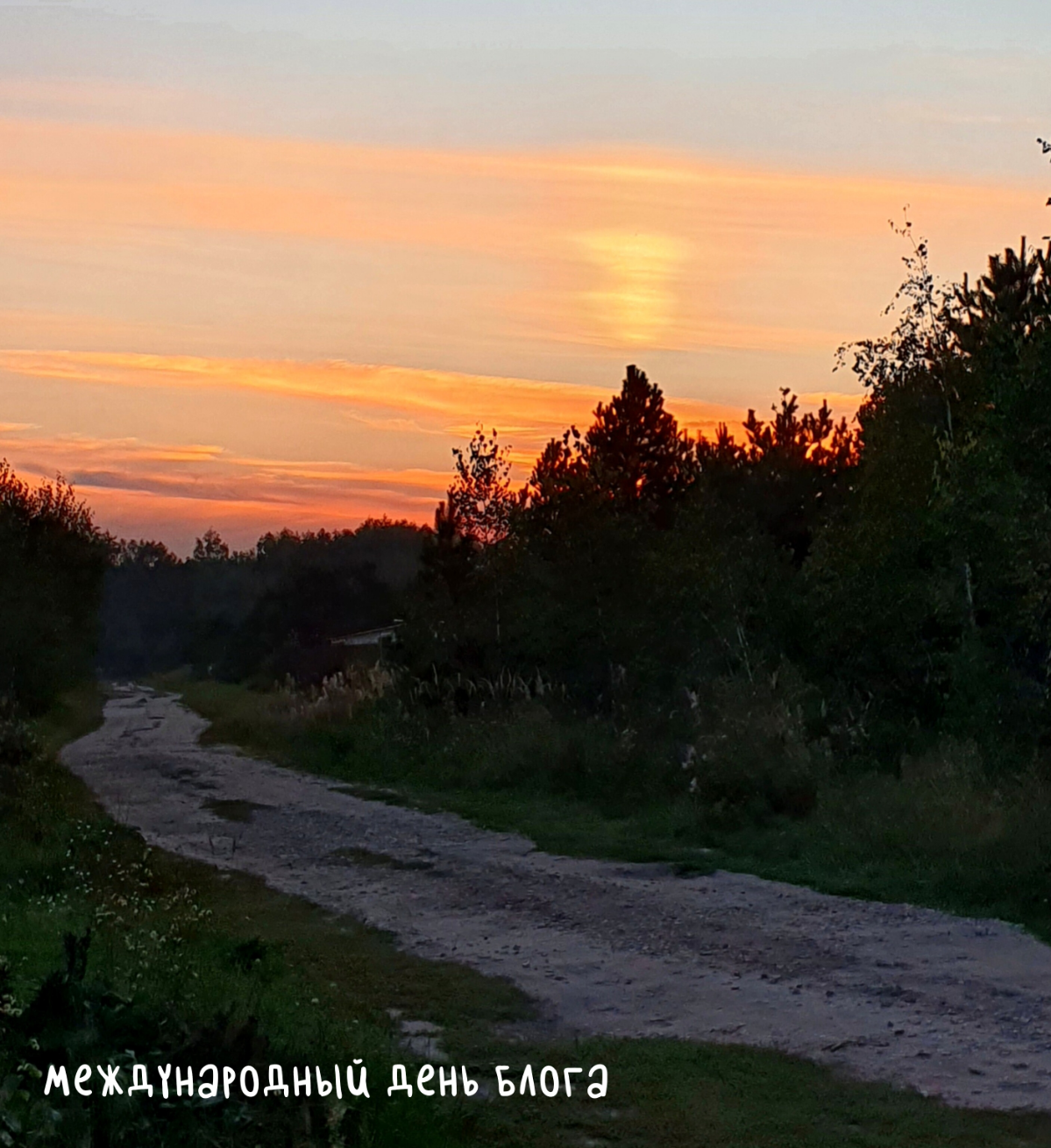 Сегодня не только заключительный день лета (делюсь сумасшедшим подмосковным закатом).
Сегодня - Международный день блога.
Можно уже уверенно сказать, что блогер — это профессия XXI века | Сетка — социальная сеть от hh.ru