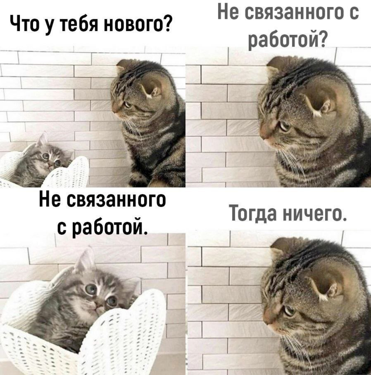 Коротко о моих постах в сетке 🥱 | Сетка — социальная сеть от hh.ru