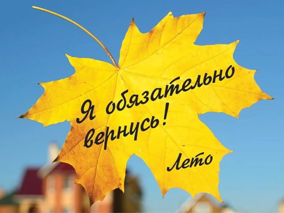 ❤️ | Сетка — социальная сеть от hh.ru