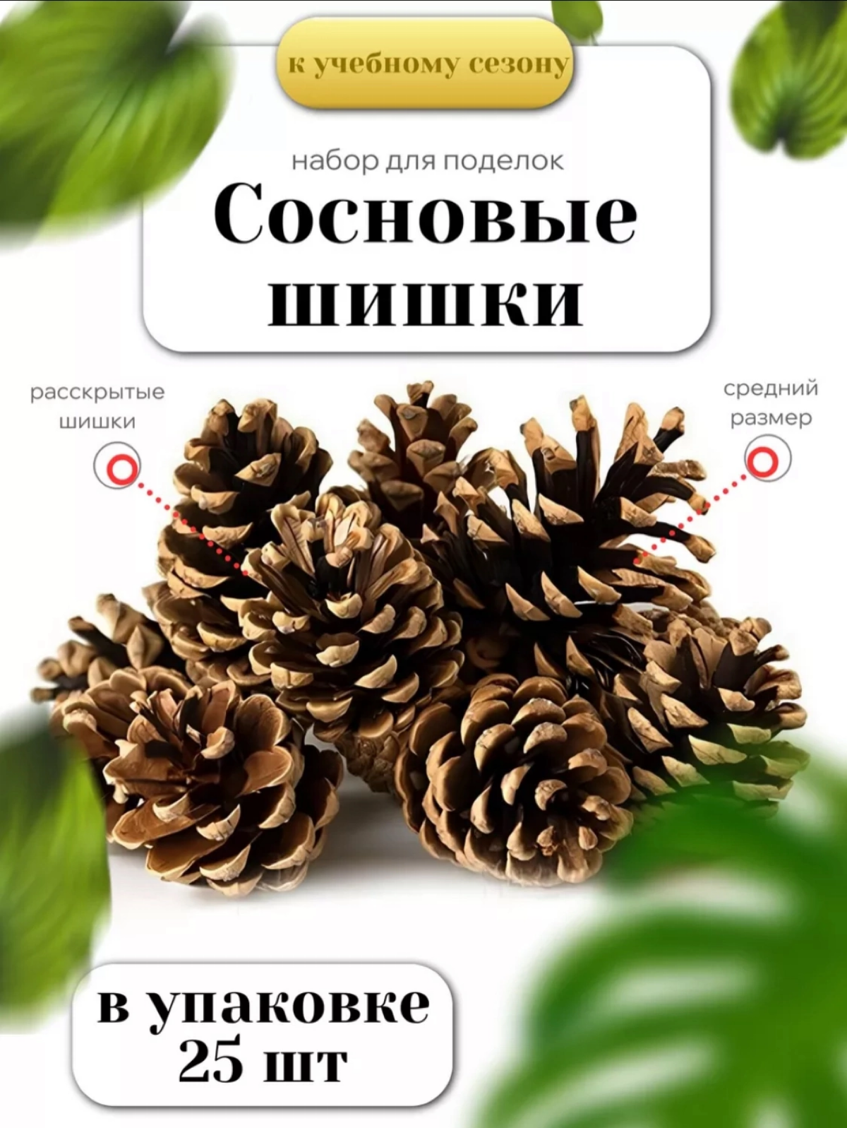 Бизнес из ничего, как продают лесные ветки и шишки на WB | Сетка — социальная сеть от hh.ru