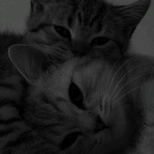 Мария Зайцева | Сетка — социальная сеть от hh.ru