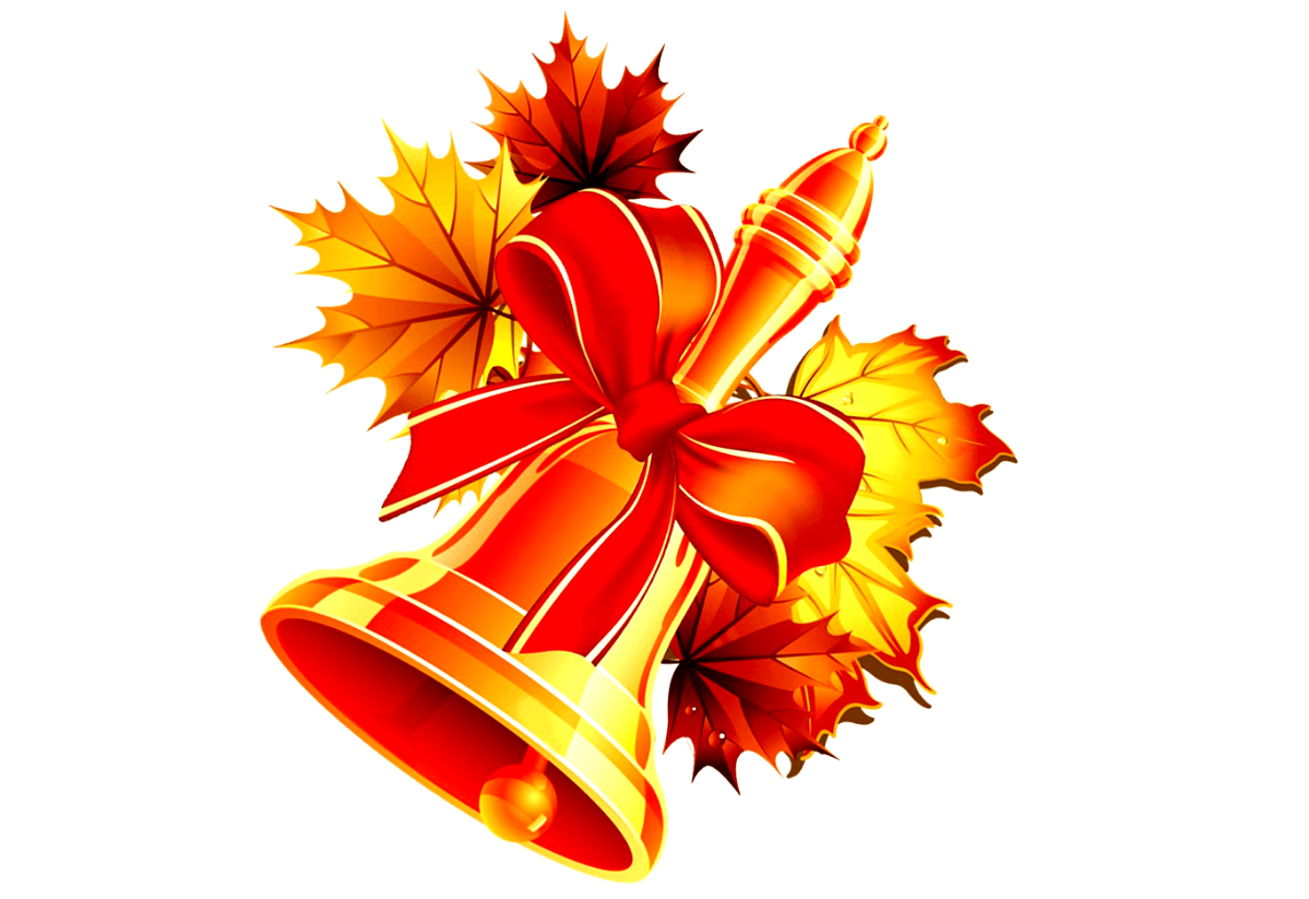 День знаний, почему он важен не только детям? | Сетка — социальная сеть от hh.ru