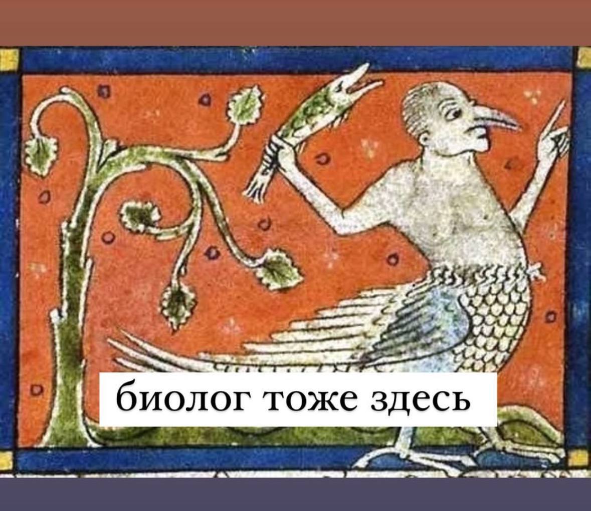 🖥 Радуюсь тому, что ещё 4 года в школу не надо ни мне, ни сыну. Всех с Днём Знаний.
Канал:Анна Зорик | Маркетинг & Context | Сетка — социальная сеть от hh.ru