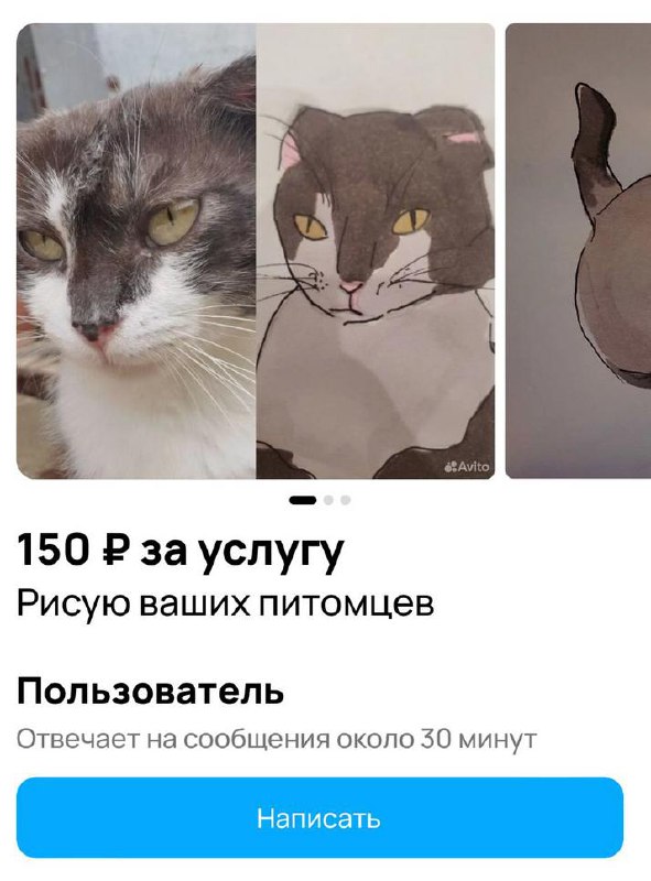 А вообще-то, я предприниматель: третьеклассница на Авито делает милые портреты ваших животных по 25 рублей за рисунок.
Конечная цель девочки — накопить на планшет своим творчеством | Сетка — социальная сеть от hh.ru