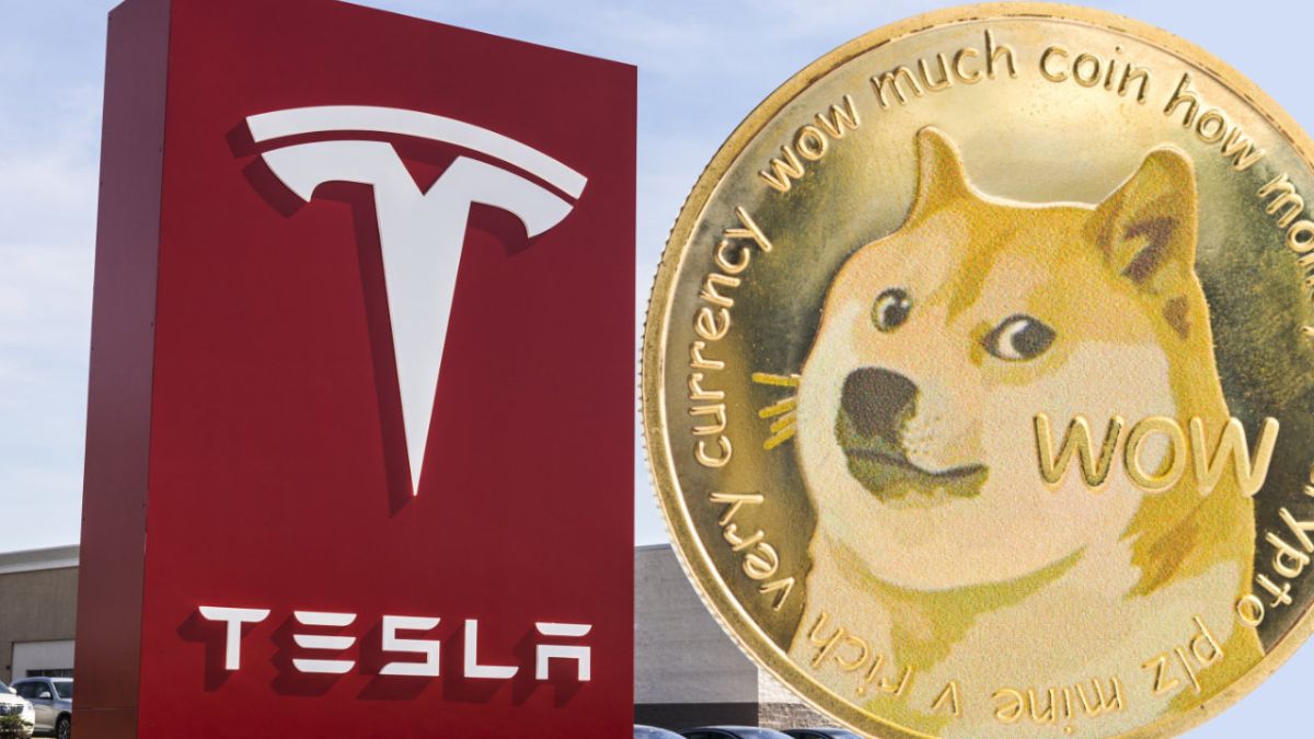 Илон Маск хочет вернуть Dogecoin в список платёжных средств | Сетка — социальная сеть от hh.ru