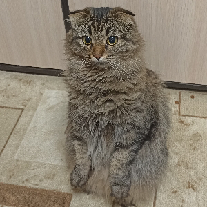 Александр Мельников