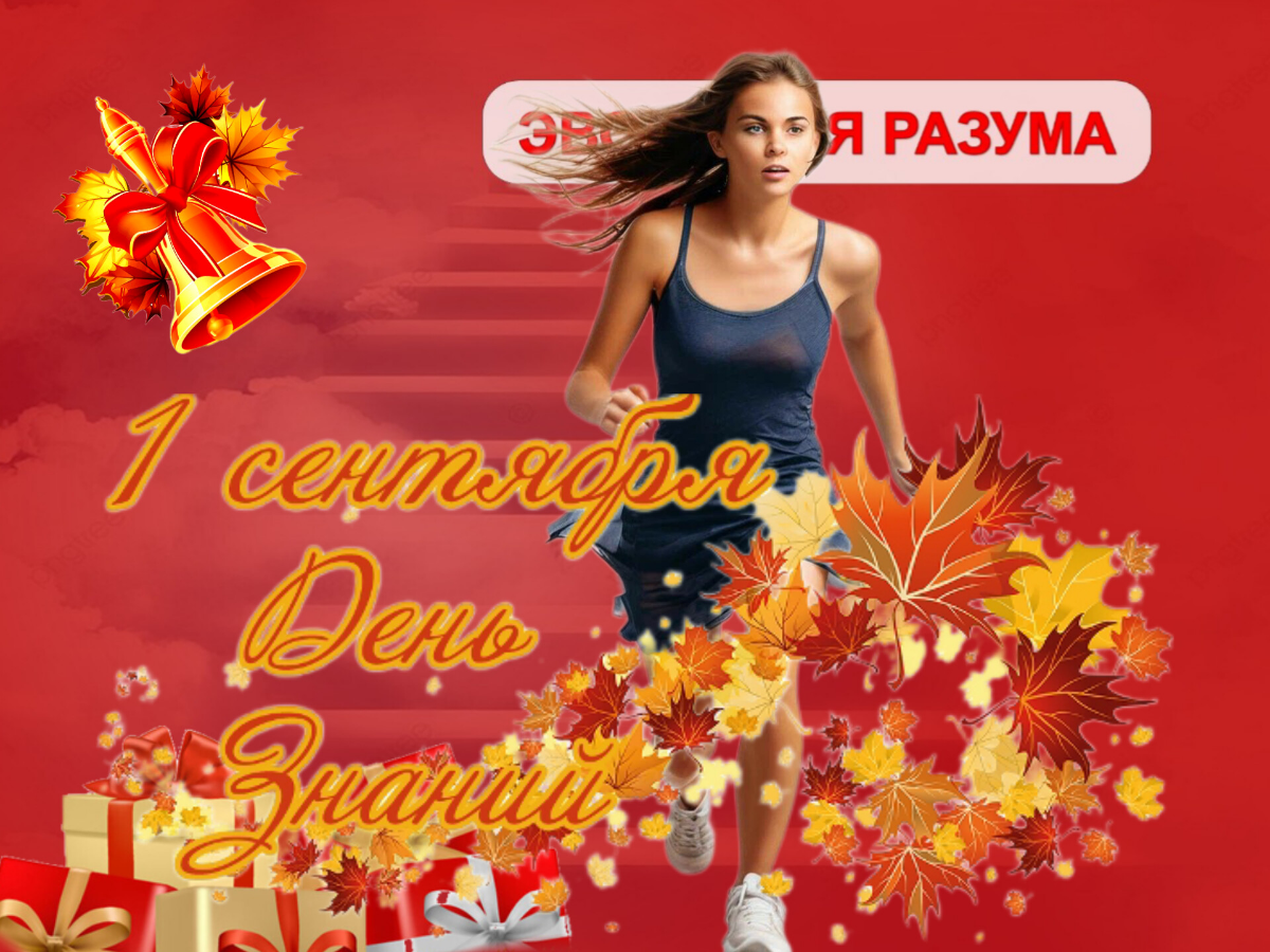 Почему жить без развития — дно, а День знаний — ключ к мечте | Сетка — социальная сеть от hh.ru