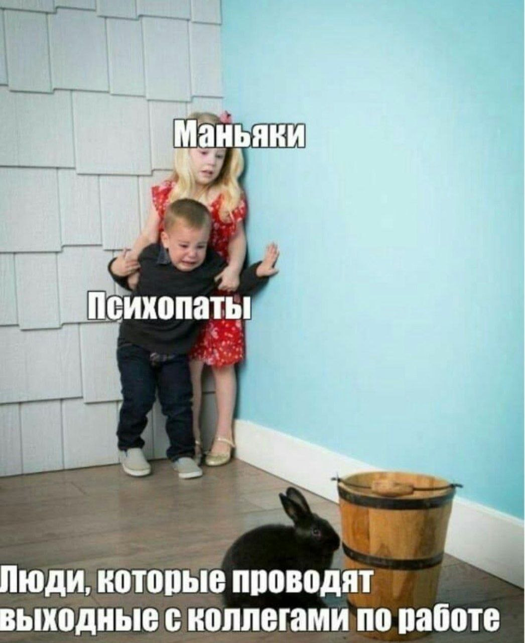 ➡️ отправь в телеге мем коллеге | Сетка — социальная сеть от hh.ru
