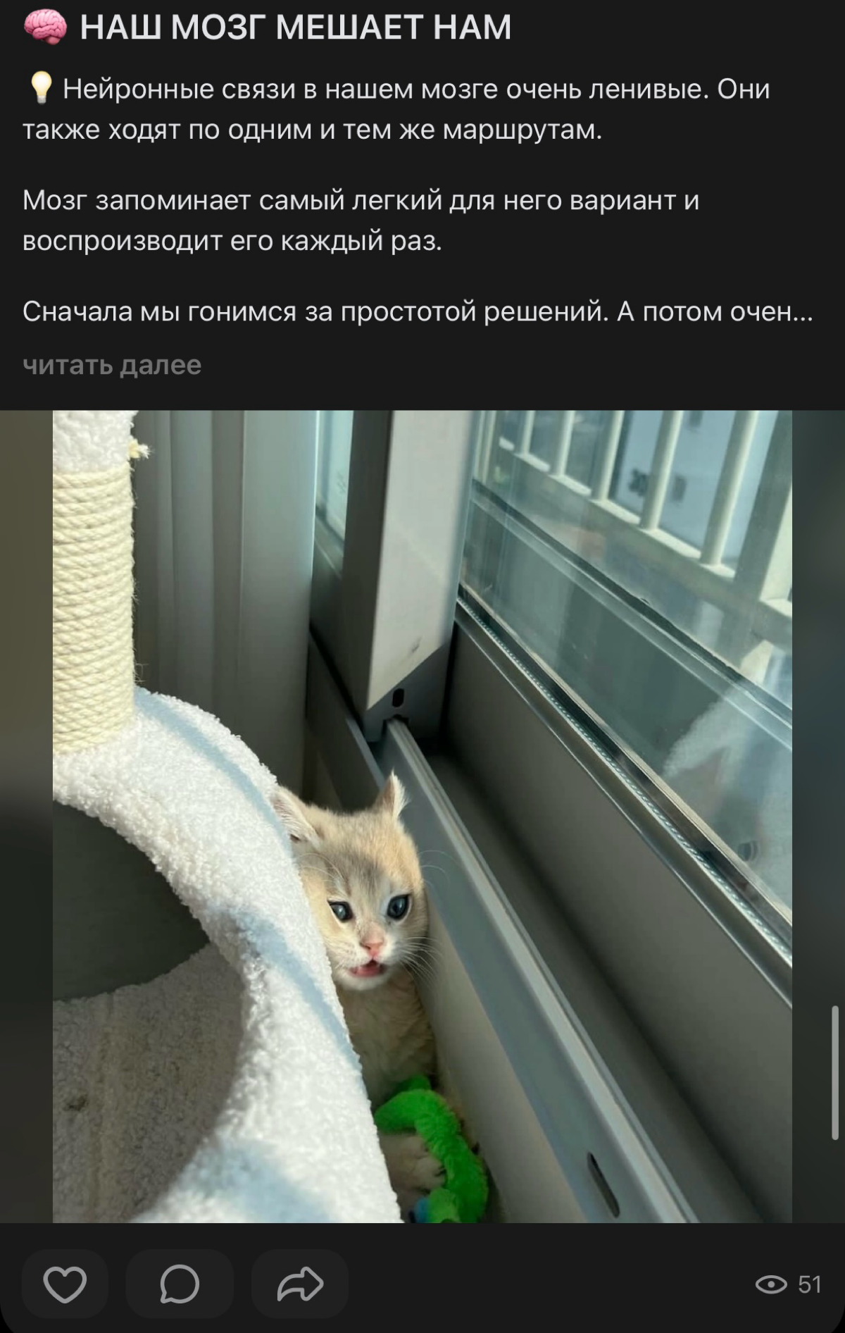 6 советов от неудачник сетки 🥲 Что делать, чтобы расти тут: | Сетка — социальная сеть от hh.ru