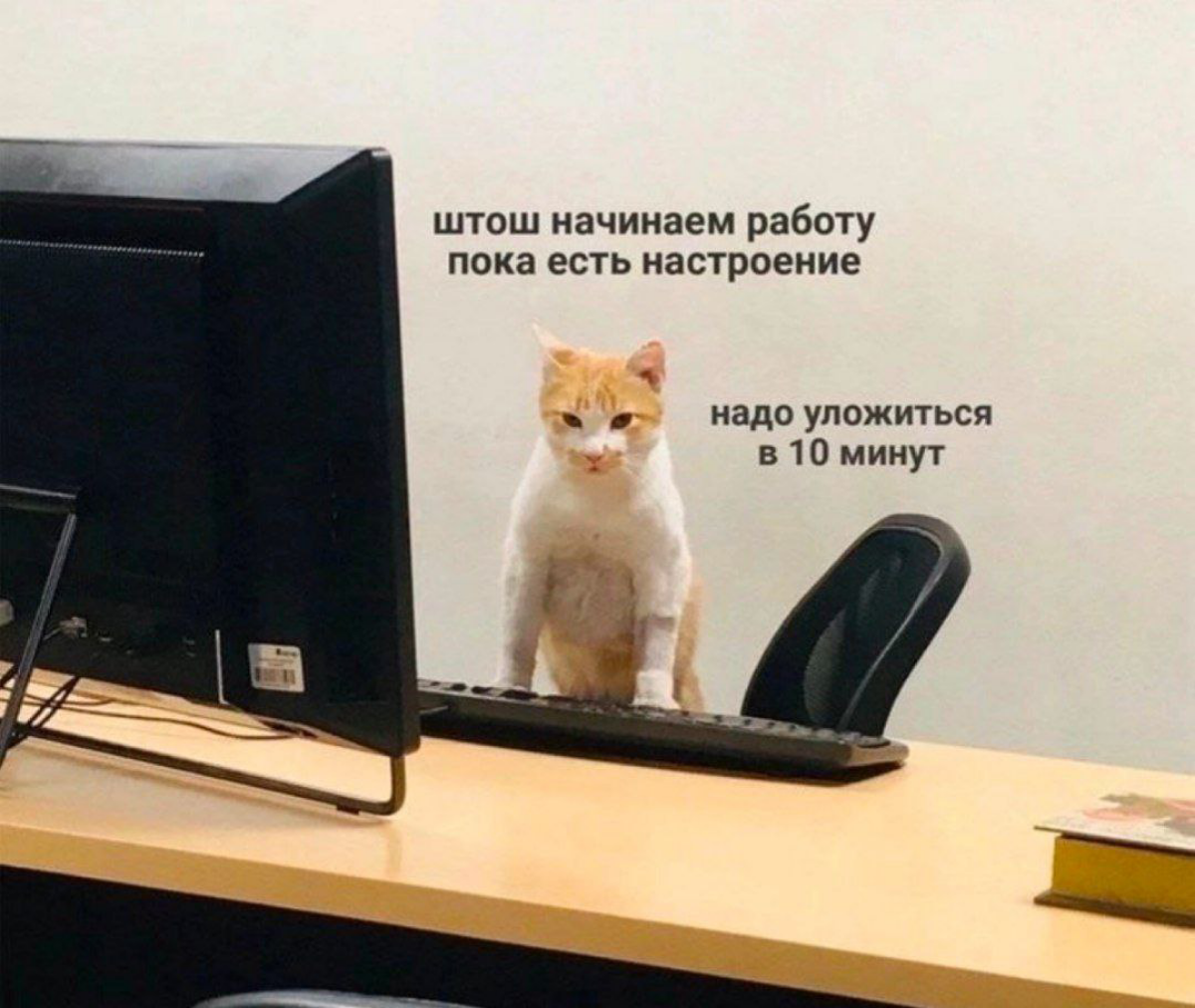 Доброго утра, товарищи друзья!
Всем нашим работягам хорошей недели, а тунеядцам соболезную 🤟 | Сетка — социальная сеть от hh.ru