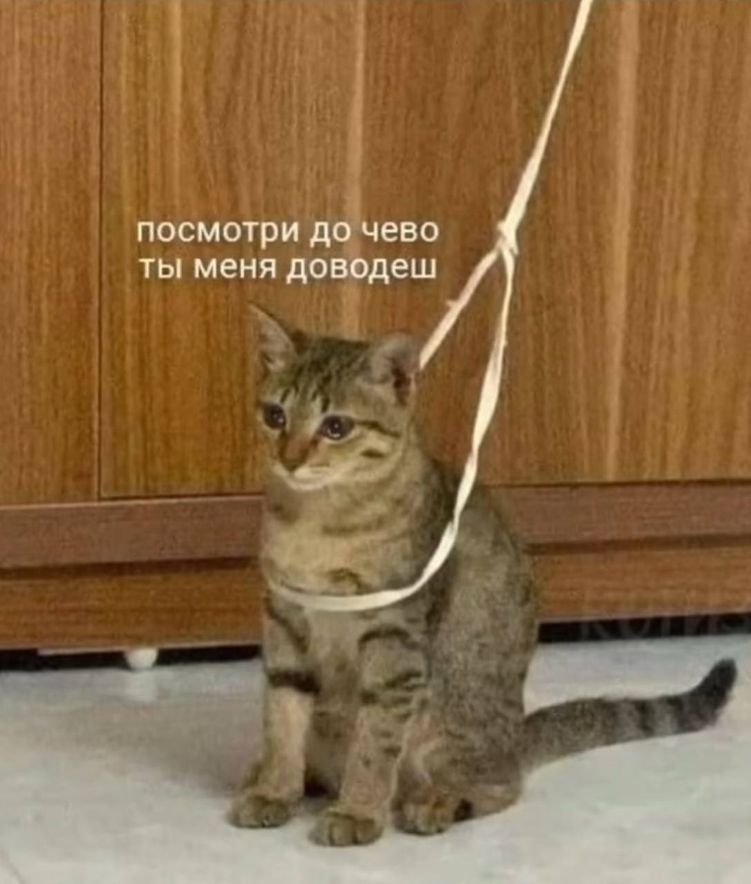 Понедельник | Сетка — социальная сеть от hh.ru