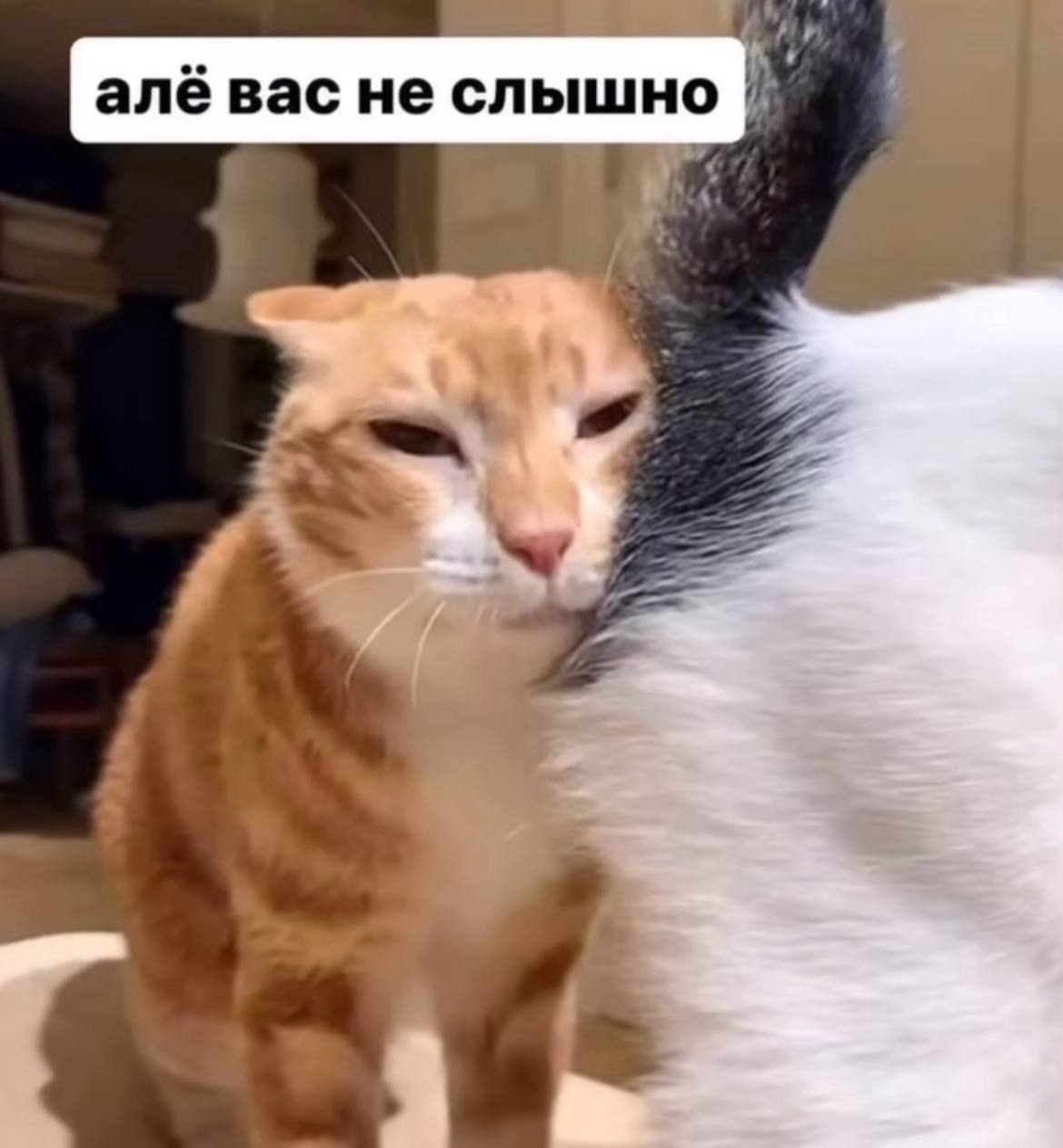 Понедельник | Сетка — социальная сеть от hh.ru