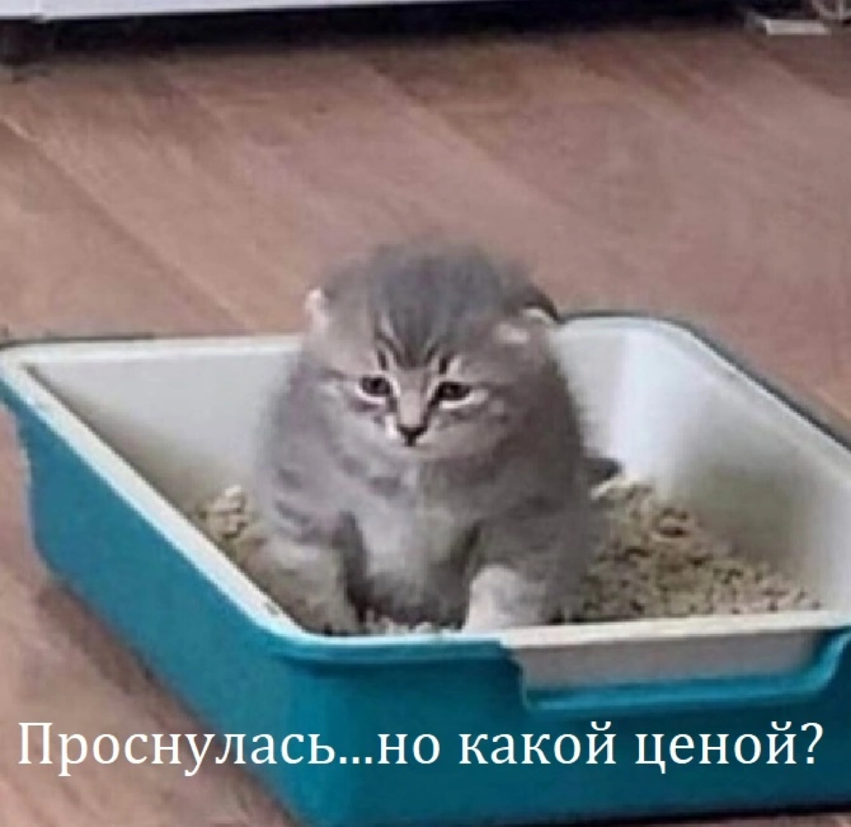 Обычный будний день | Сетка — социальная сеть от hh.ru