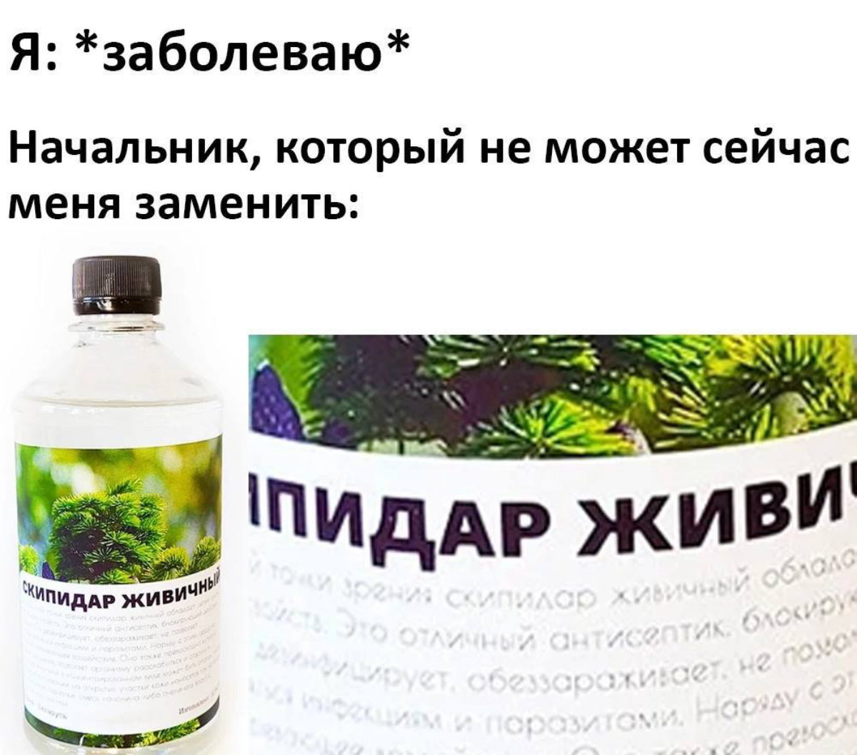 Сетка — социальная сеть от hh.ru