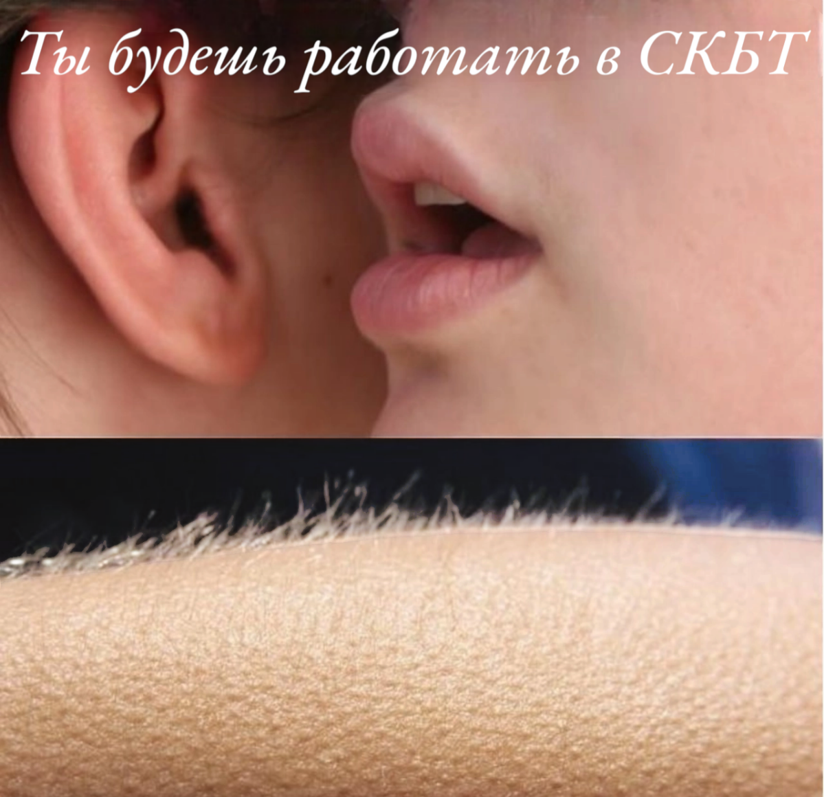 Совкомбанк Технологии — аккредитованная ИТ-компания финансовой группы Совкомбанк. Каждый день развиваем сервисы и приложения, которыми пользуются миллионы людей и мы сами | Сетка — социальная сеть от hh.ru