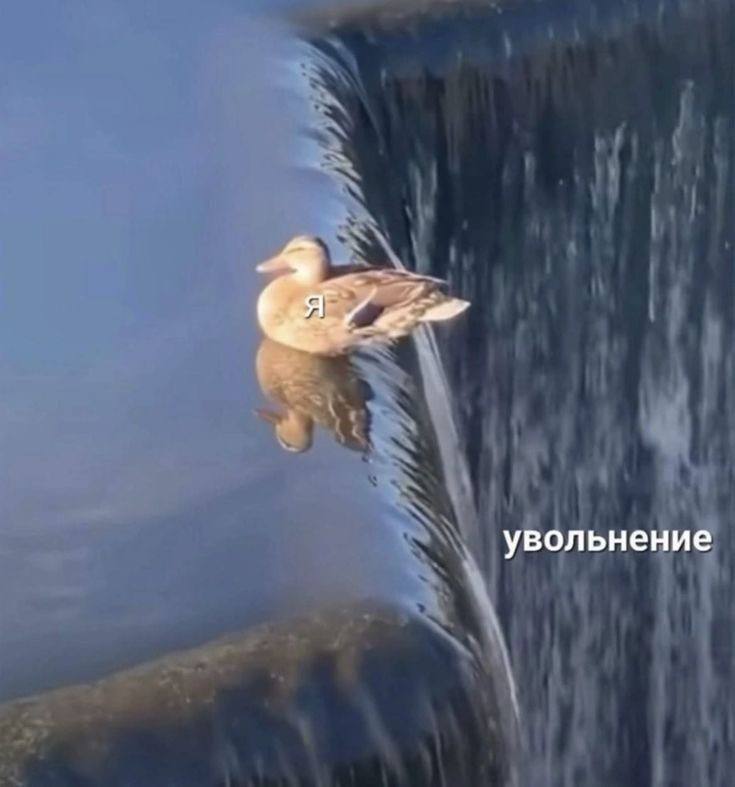 Я перестала выбирать проекты только по офферуРаньше я обращала острое внимание на то, сколько стоит💲 в оффере 
Сегодня я впервые приняла решение уйти из одного из них в проект с оплатой меньше, но с с... | Сетка — социальная сеть от hh.ru