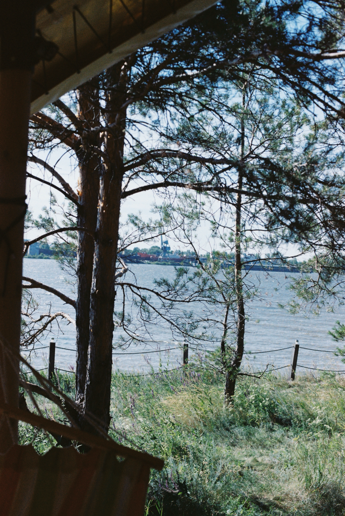 Я проявила несколько пленок 🙏🏽
Minolta x700 | Сетка — социальная сеть от hh.ru