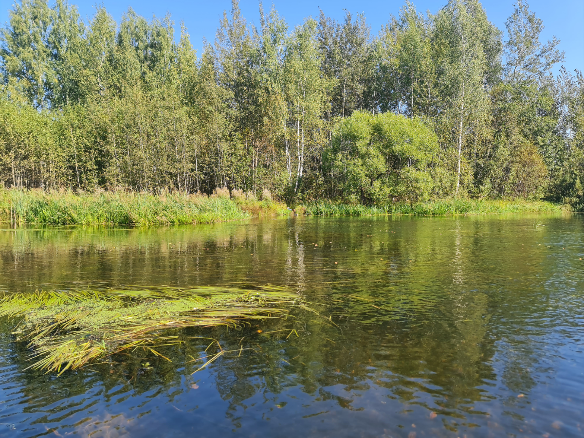 Москва работает, а я отдыхаю 😁
Умеете ли вы, дать себе минутки тишины, во время активной работы? 
Побаловать себя природой, или другими маленькими радостями жизни, в череде бесконечных дел 🤓
#перерыв ... | Сетка — социальная сеть от hh.ru