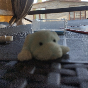 Соня Соввина