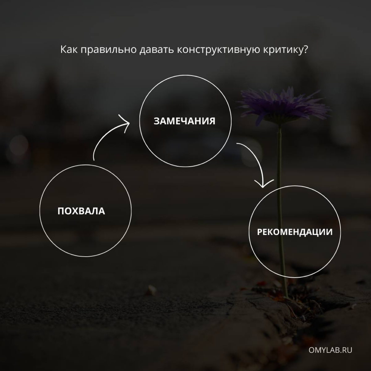 60% успеха реализации любого проекта/задачи/бизнеса - грамотно построенная коммуникация и четко сформулированные задачи | Сетка — социальная сеть от hh.ru