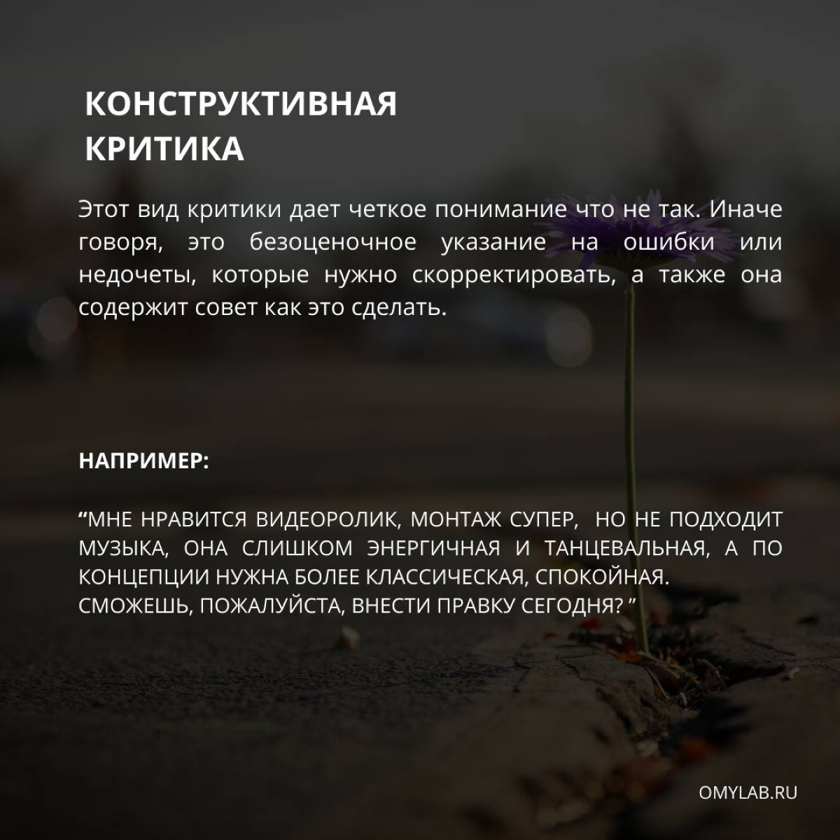 60% успеха реализации любого проекта/задачи/бизнеса - грамотно построенная коммуникация и четко сформулированные задачи | Сетка — социальная сеть от hh.ru