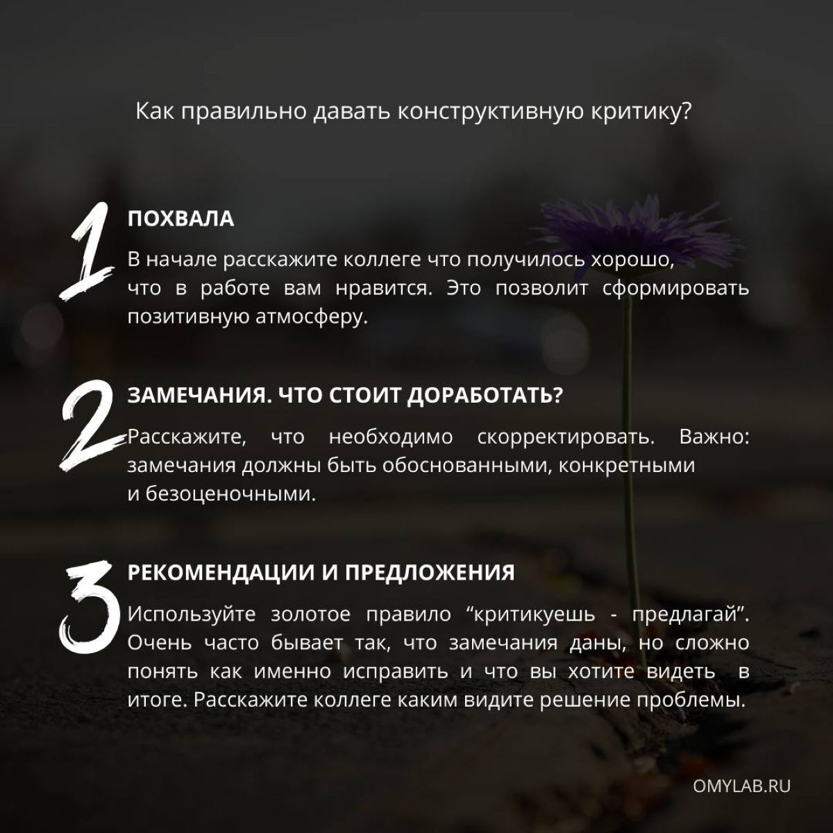 60% успеха реализации любого проекта/задачи/бизнеса - грамотно построенная коммуникация и четко сформулированные задачи | Сетка — социальная сеть от hh.ru
