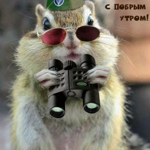 Александр Егоров
