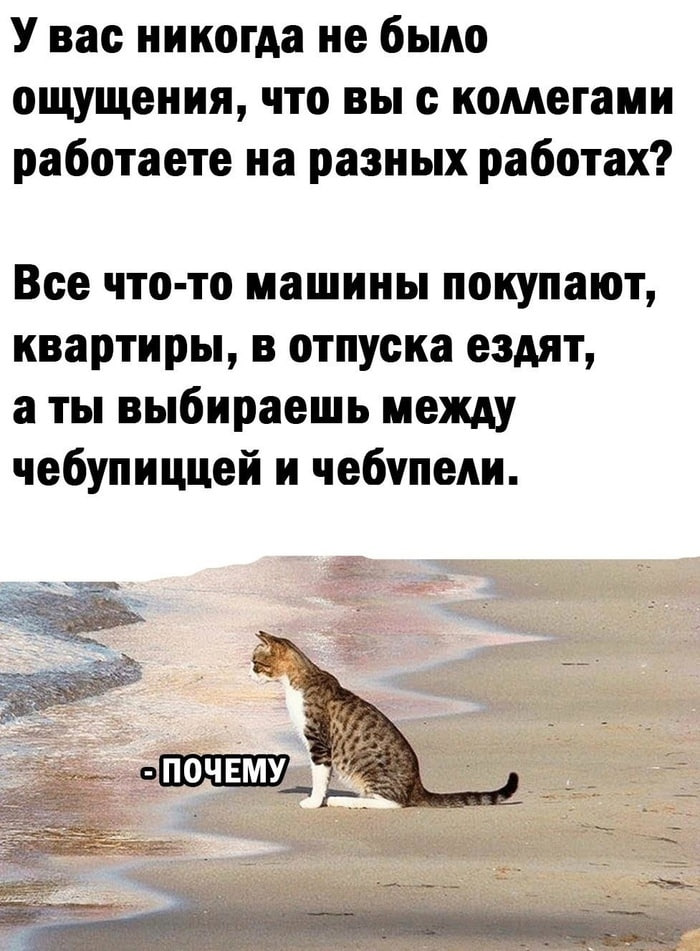 ➡️ отправь в телеге мем коллеге | Сетка — социальная сеть от hh.ru