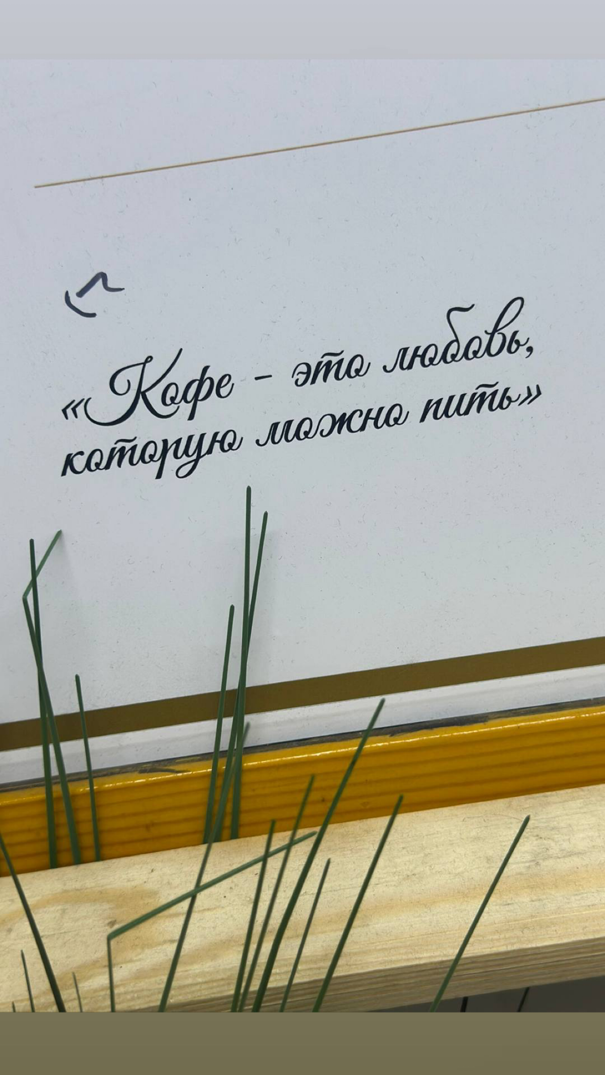 Есть тут любители кофе? Какой любите? | Сетка — социальная сеть от hh.ru