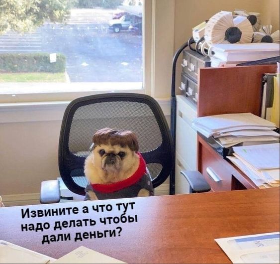 8-ми часовой рабочий день – пережиток
Скажи честно сколько времени у тебя уходит на работу в офисе? Скорее всего, если твой рабочий день начинается в 9:00, то твоя реальная работа начинается ориентиро... | Сетка — социальная сеть от hh.ru
