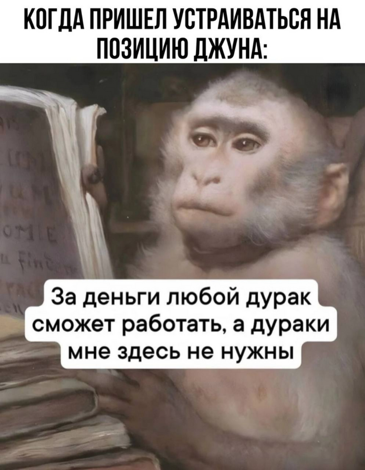А что джунам делать? | Сетка — социальная сеть от hh.ru