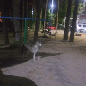 Данил Петров | Сетка — социальная сеть от hh.ru