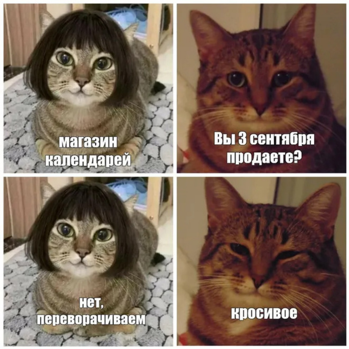 Я календарь | Сетка — социальная сеть от hh.ru