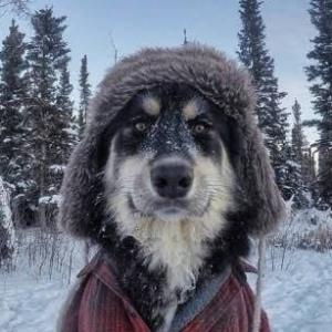 Тимур Радригес