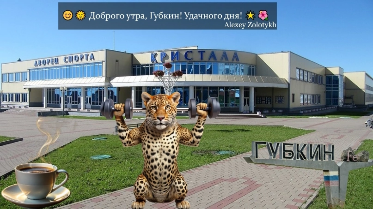 😊🌞 Доброго утра, Губкин! Удачного дня! 🌟🌺 | Сетка — социальная сеть от hh.ru
