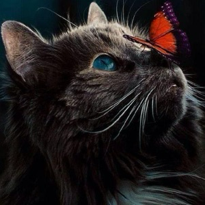 Константин Трухин | Сетка — социальная сеть от hh.ru