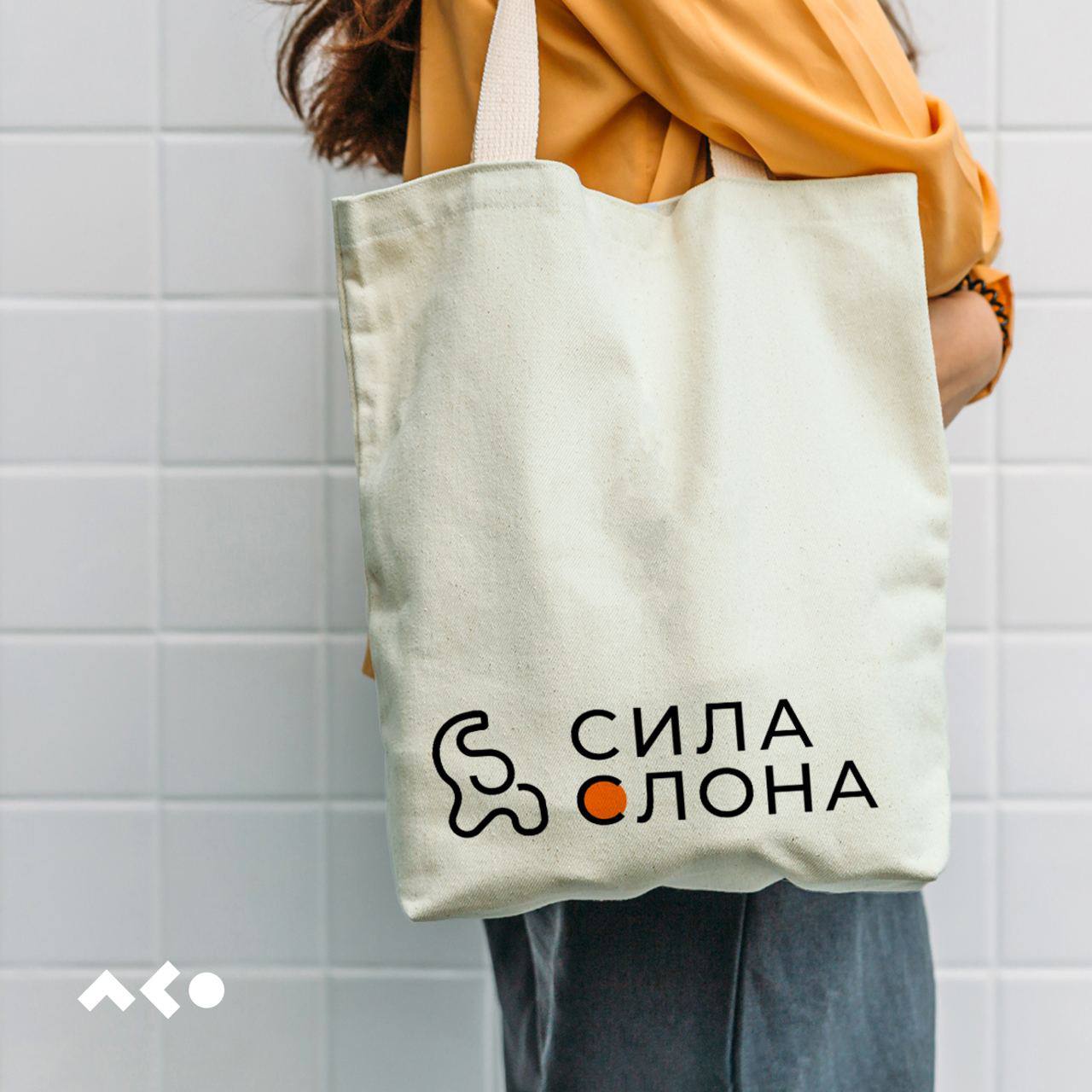 Мы запускаем серию постов о работе с брендом «Сила Слона», то как кропотливо мы работали над каждой деталью в этом проекте
Начнем с логотипа — он стал первым шагом в обновлении визуального стиля компа... | Сетка — социальная сеть от hh.ru