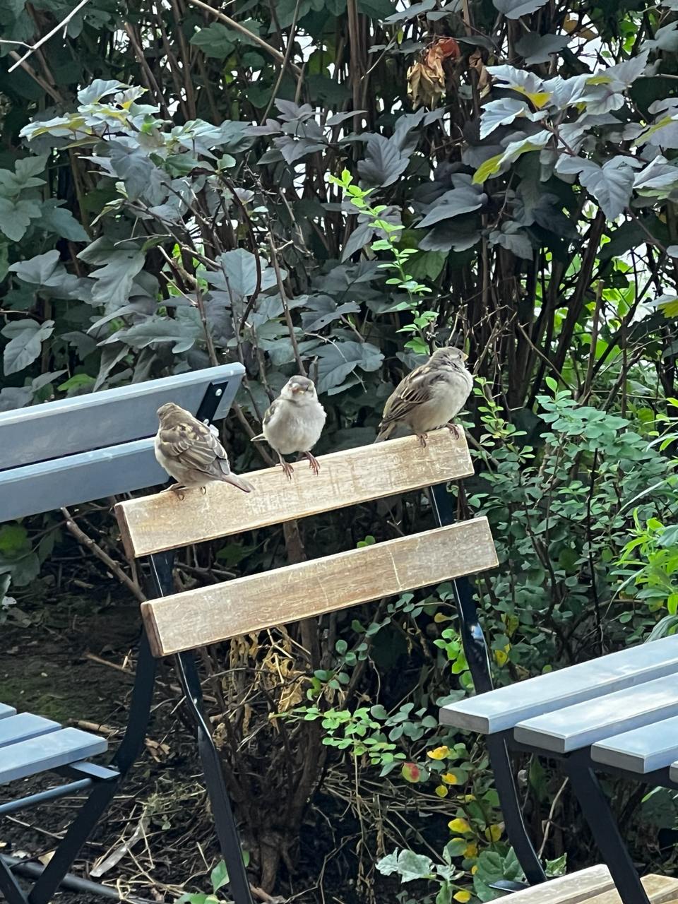 Я календарь, перевернул, и снова 3-е сентября. 
Осень — лучшая пора для маркетинга и высокий сезон для многих бизнесов. 
А я поделюсь итогами рассуждений с товарищем из Германии | Сетка — социальная сеть от hh.ru