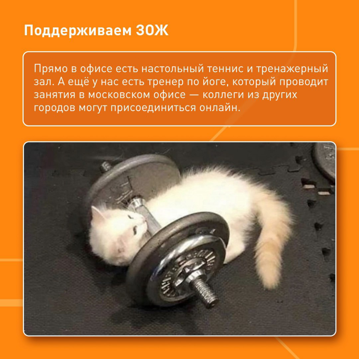 Какие бенефиты ждут вас в ПГК | Сетка — социальная сеть от hh.ru