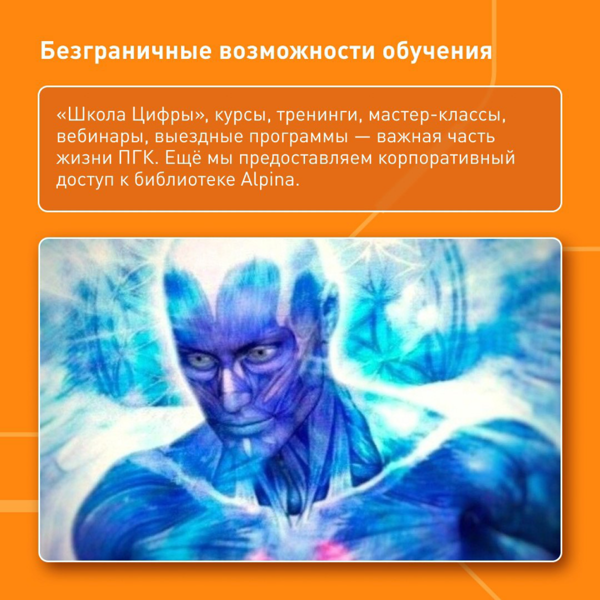 Какие бенефиты ждут вас в ПГК | Сетка — социальная сеть от hh.ru