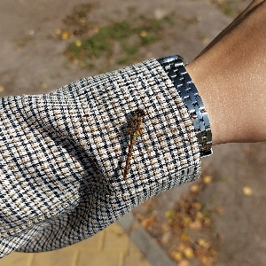 Анастасия Купченко