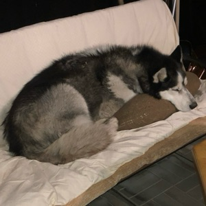 Сергей Гриненко | Сетка — социальная сеть от hh.ru